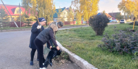 Осенний субботник! - Чишминский районный суд
