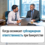 Когда возникает субсидиарная ответственность при банкротстве