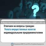 Отвечаем на вопросы по уплате имущественных налогов за 2025 год